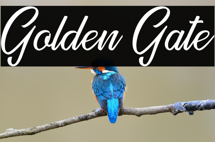 Golden Gate Example 1