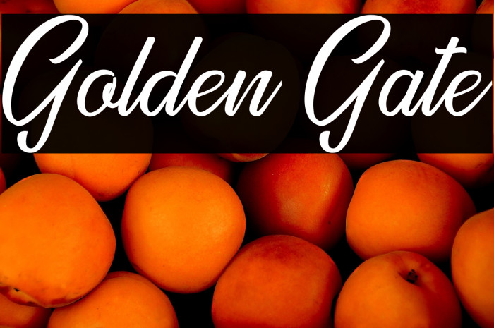 Golden Gate Example 2