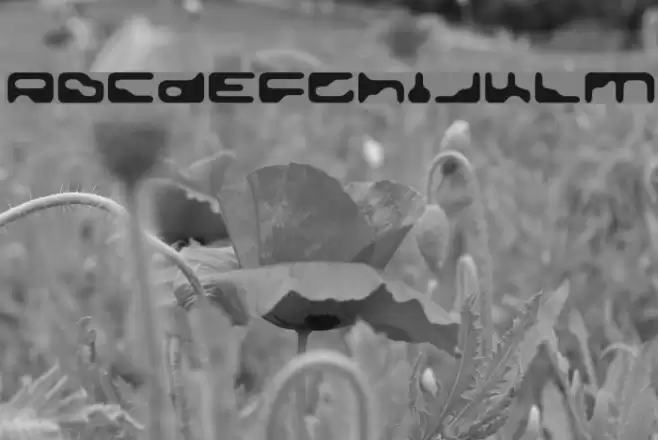 Golden Girdle Font examples