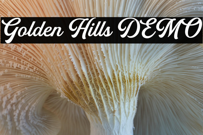 Golden Hills DEMO Example 3