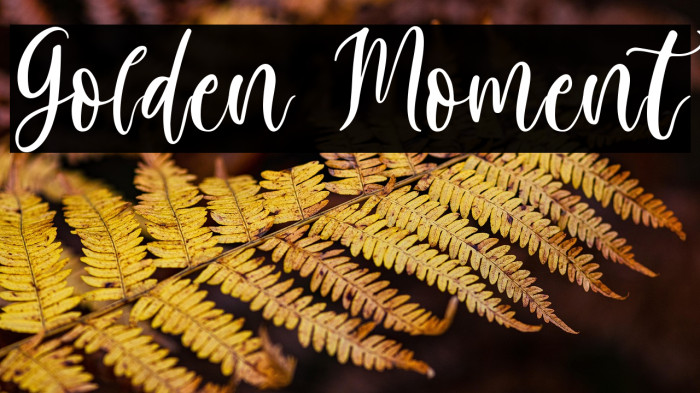 Golden Moment Example 1