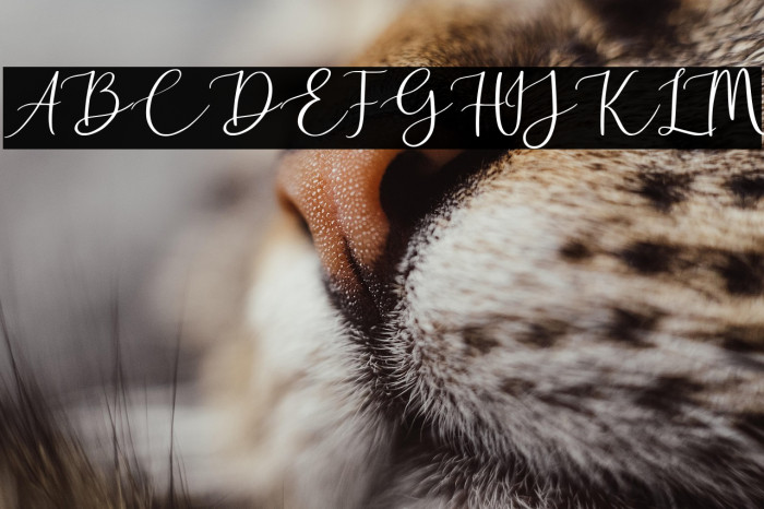 Golden Motion Demo Version Example 1