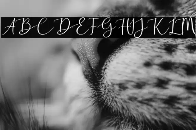 Golden Motion Demo Version Font examples