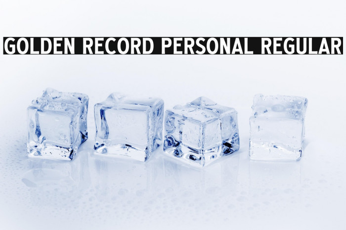 Golden Record PERSONAL Regular Example 1