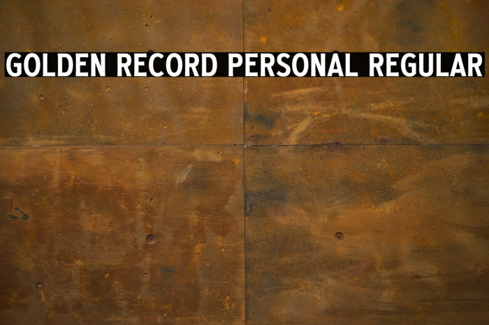 Golden Record PERSONAL Regular Example 3