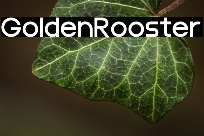 Golden Rooster Example 2