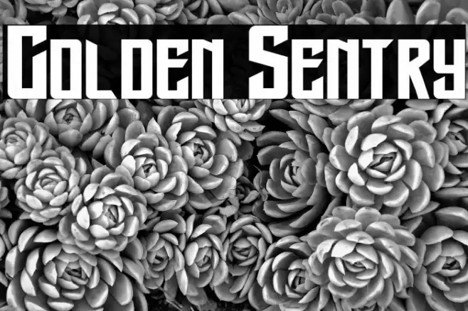 Golden Sentry Font examples