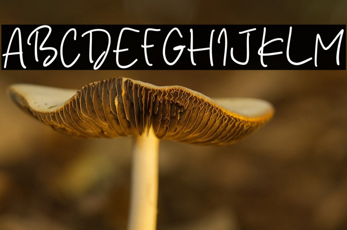 Golden Serenity Caratteri examples