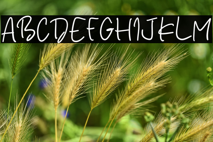 Golden Serenity Caratteri examples