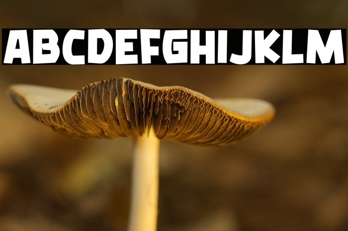 Golden Smile Example 1