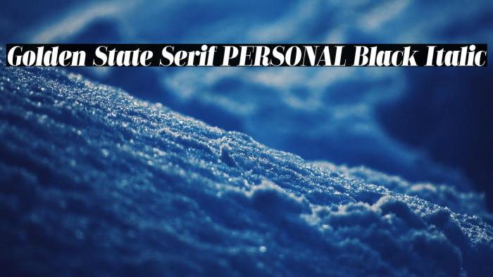 Golden State Serif PERSONAL Black Italic Example 1