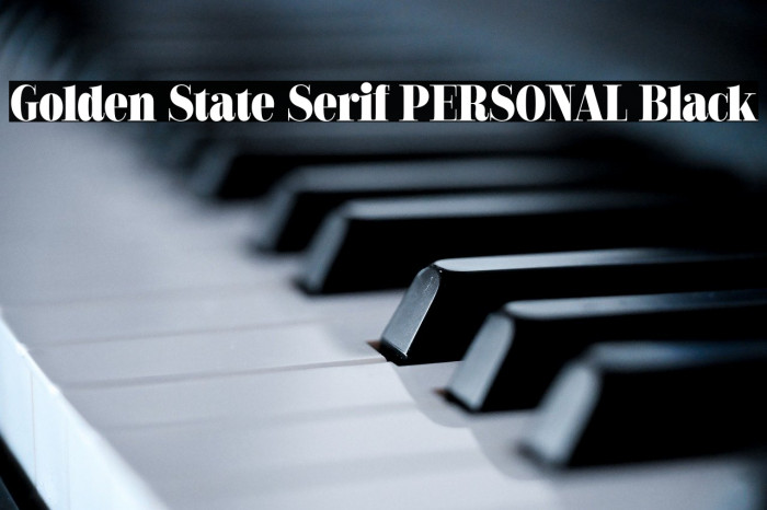 Golden State Serif PERSONAL Black Example 1