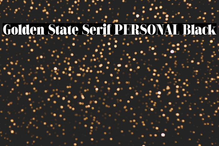 Golden State Serif PERSONAL Black Example 3