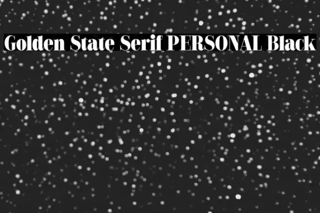 Golden State Serif PERSONAL Black Font examples