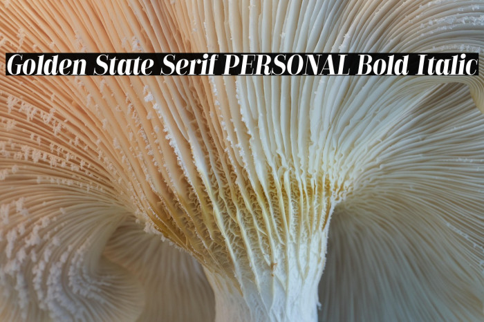 Golden State Serif PERSONAL Bold Italic Example 2