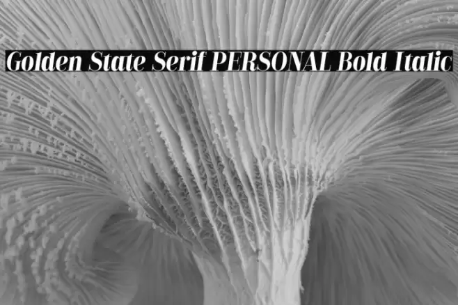 Golden State Serif PERSONAL Bold Italic Font examples