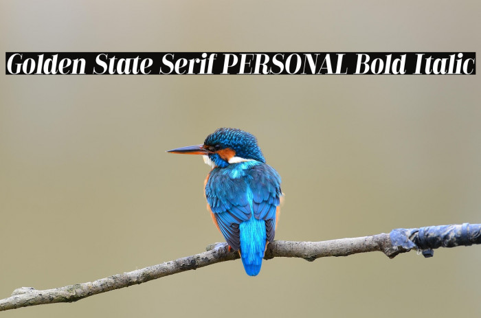 Golden State Serif PERSONAL Bold Italic Example 3