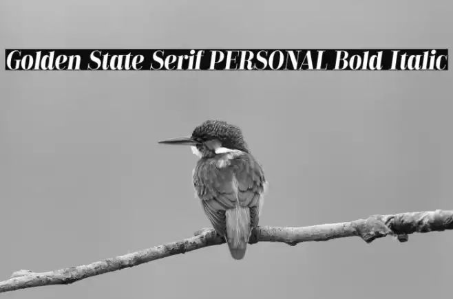 Golden State Serif PERSONAL Bold Italic Font examples