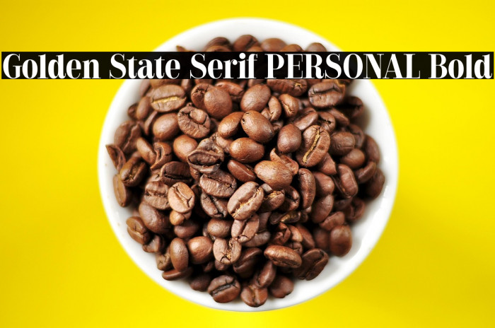 Golden State Serif PERSONAL Bold Example 1