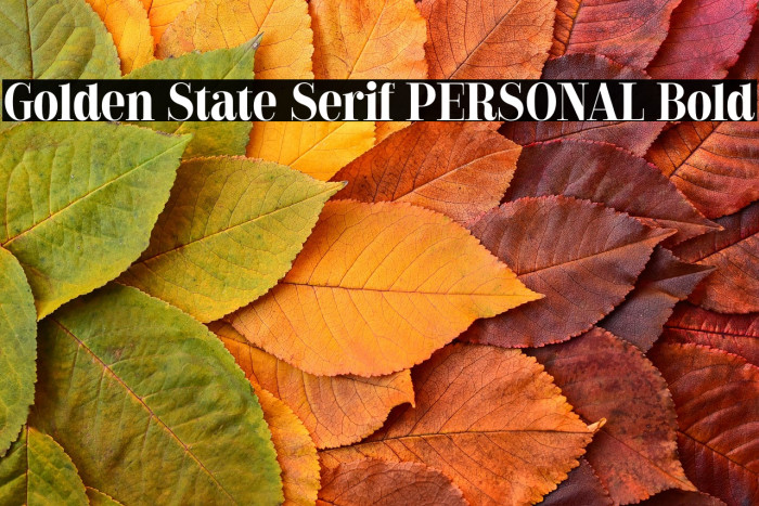Golden State Serif PERSONAL Bold Example 2