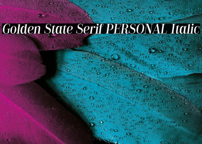 Golden State Serif PERSONAL Italic Example 3