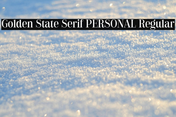 Golden State Serif PERSONAL Regular Example 2