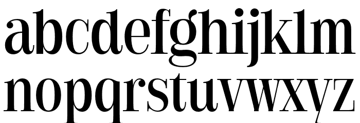 Golden State Serif PERSONAL Regular Font LOWERCASE