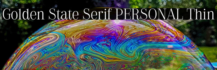 Golden State Serif PERSONAL Thin Example 2