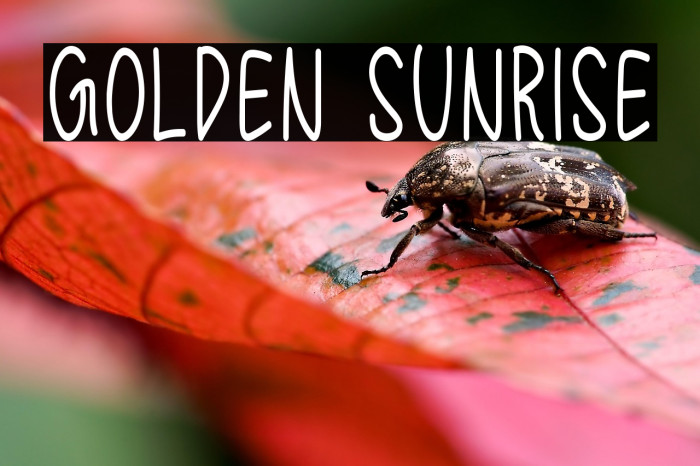 Golden Sunrise Example 1