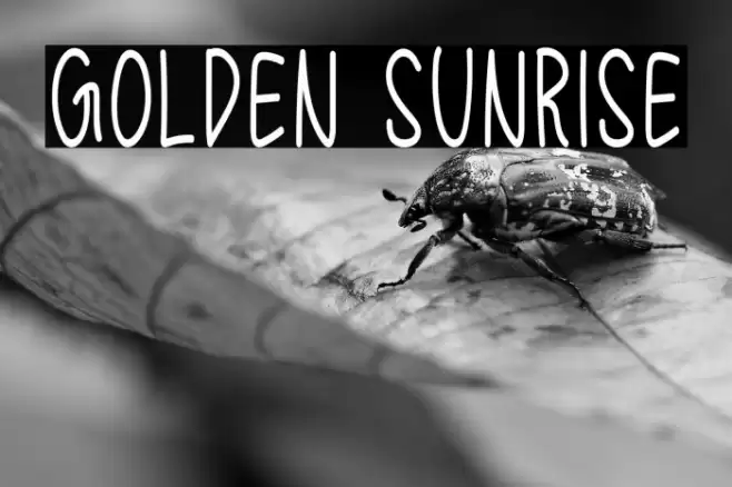 Golden Sunrise フォント examples