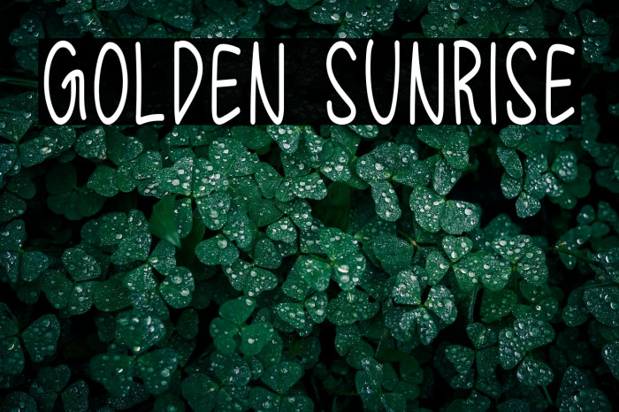 Golden Sunrise Example 2