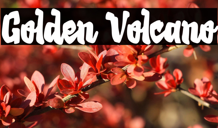 Golden Volcano Example 3