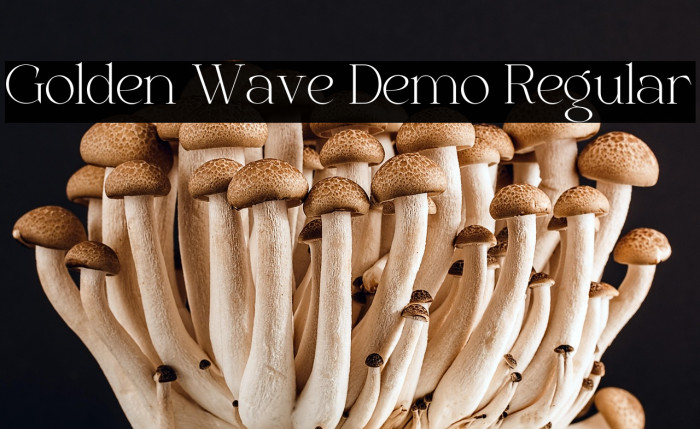 Golden Wave Demo Regular Example 1