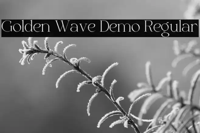 Golden Wave Demo Regular Fonte examples
