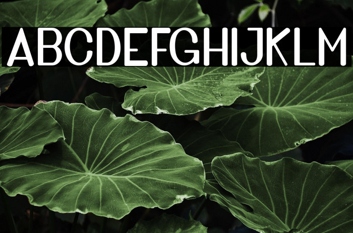 GoldenBridgeSans Example 1