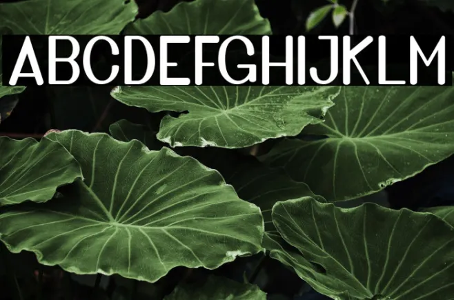 GoldenBridgeSans Example 1
