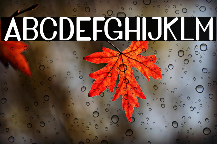 GoldenBridgeSans Example 2