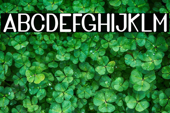 GoldenBridgeSans Example 3