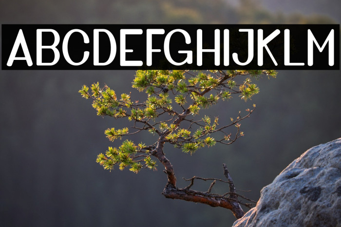 GoldenBridgeSans Example 1