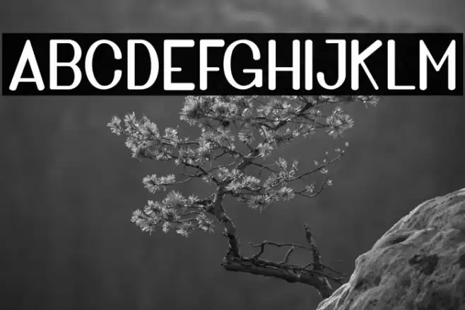 GoldenBridgeSans Font examples