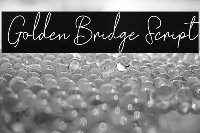 GoldenBridgeScript Font examples