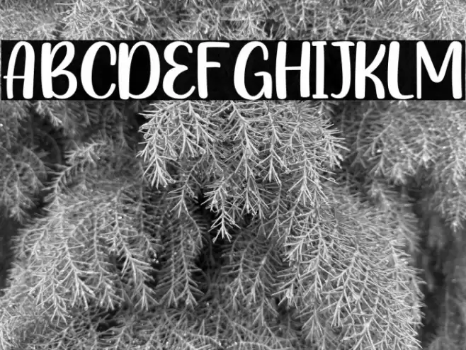 GoldenCheese-Regular Font examples