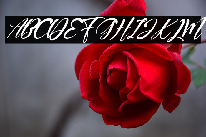 GoldenCristal-Italic Example 2