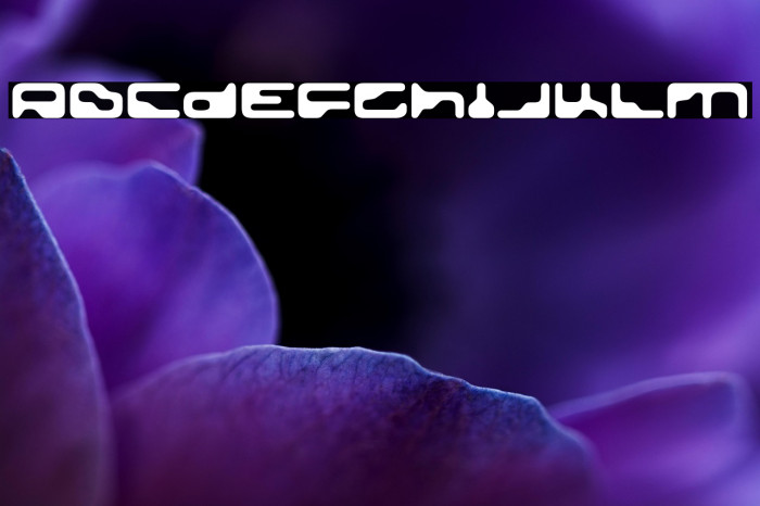 GoldenGirdle-Regular Example 2