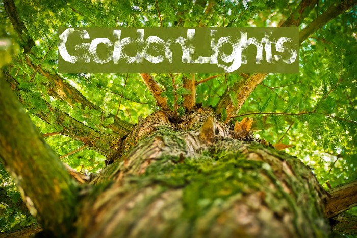 GoldenLights Font examples
