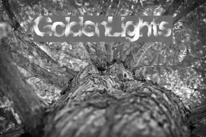 GoldenLights Font examples