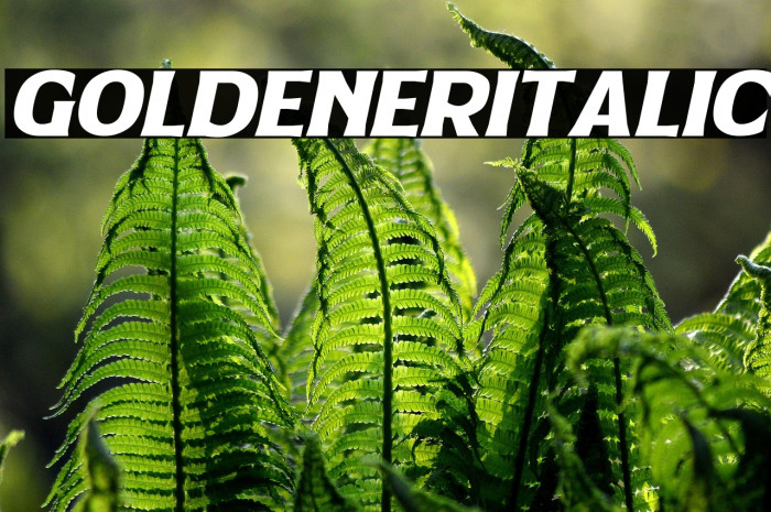 Goldener Italic Example 3