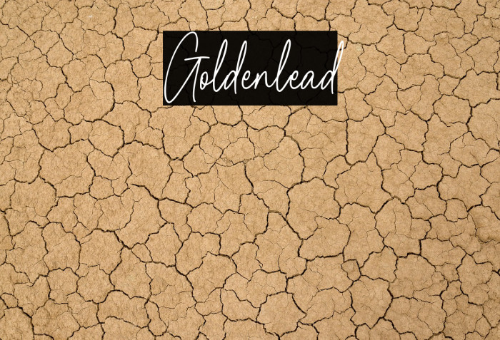 Goldenlead Example 1