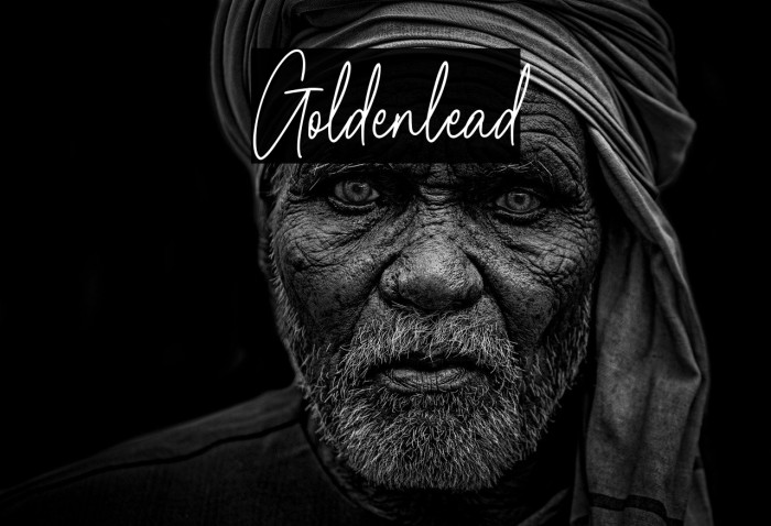 Goldenlead Example 2