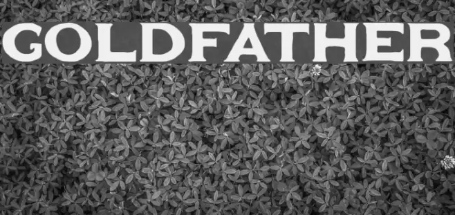 Goldfather Caratteri examples